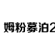 开奖结果分析